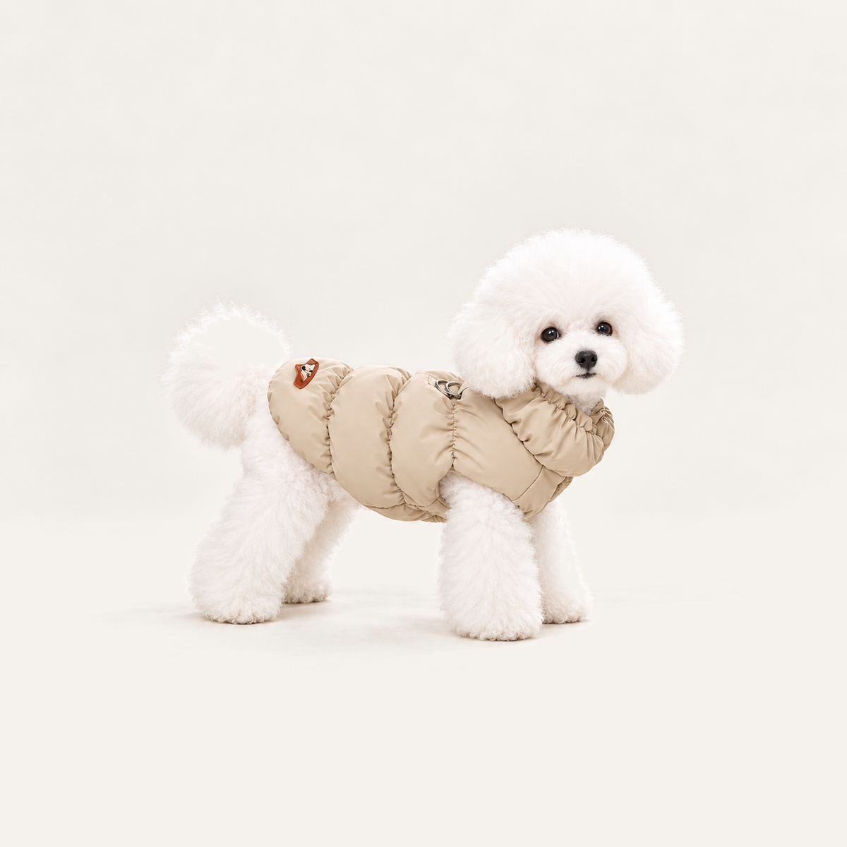 Soft Padded Winter Dog Coat worn by a dog on a warm neutral studio background