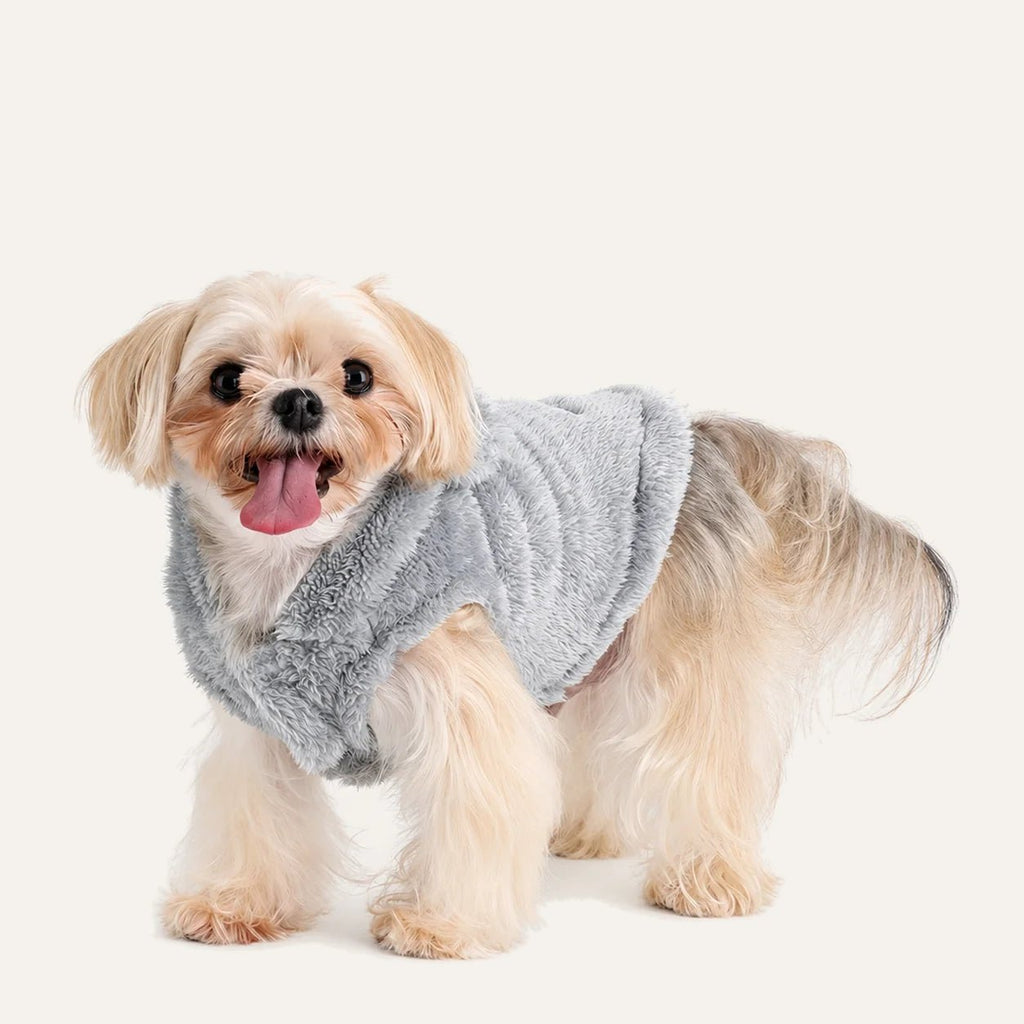 Yorkshire Terrier wearing the Plush Fleece Dog Hoodie in Grey, size S