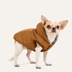 Chihuahua wearing the Hooded Fleece-Lined Dog Parka in Coffee, size S