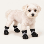 Small white dog wearing four black water-resistant boots with reflective bands
