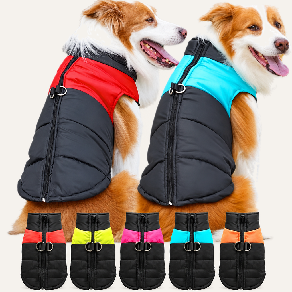 Water-Resistant Padded Dog Vest – front view